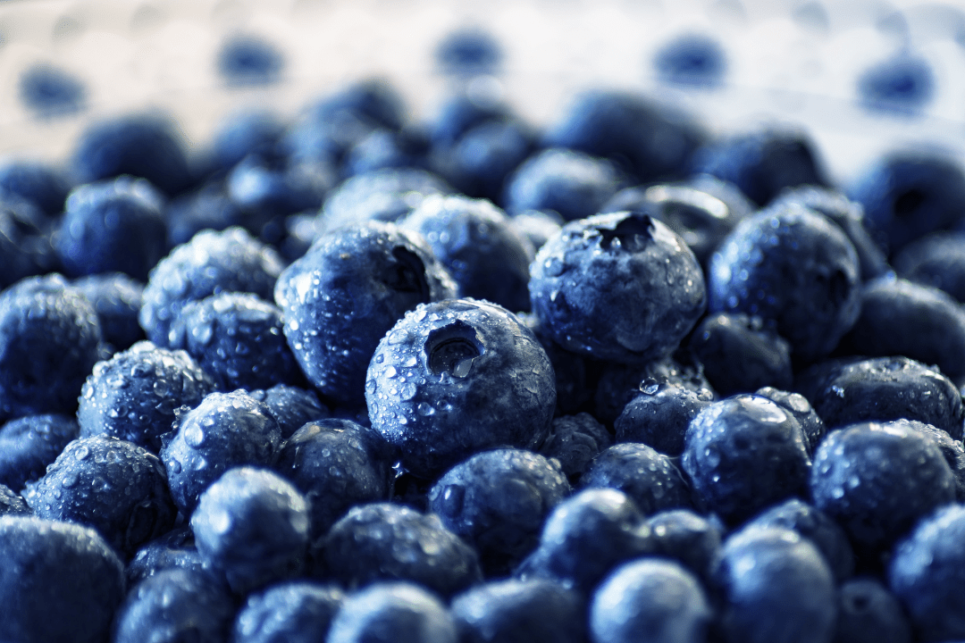 Blueberry Bliss: Brilliant Recipes from Our Glow Talkers - The Collagen Co.